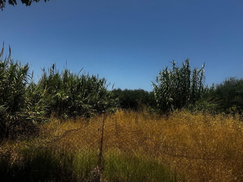 Helårsgrund i La Linea De La Concepcion, Cadiz - foto 3