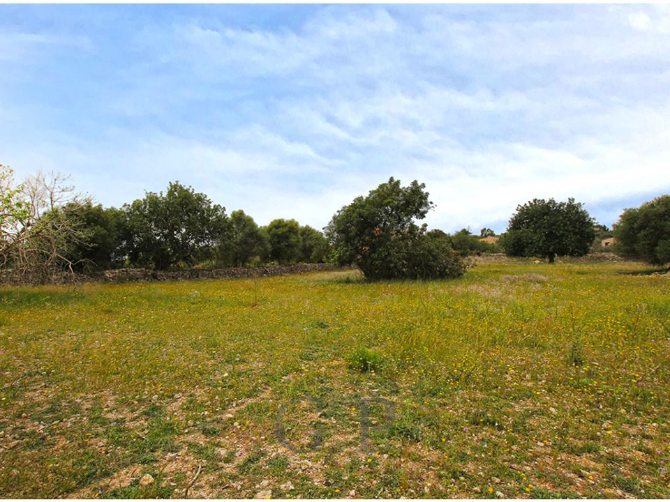 Land in Son Servera, Mallorca - photo 3