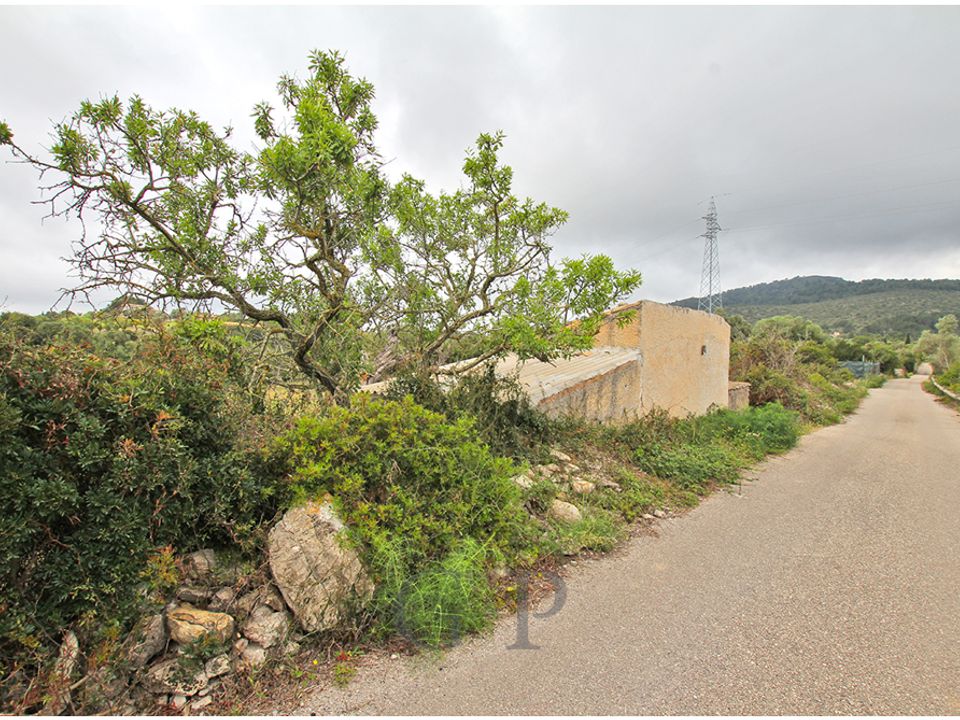 Helårsgrund i Son Servera, Mallorca - foto 4