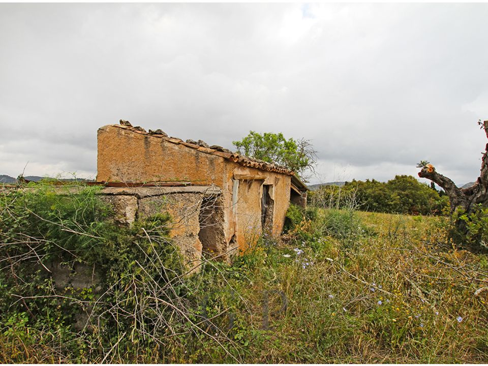 Helårsgrund i Son Servera, Mallorca - foto 5