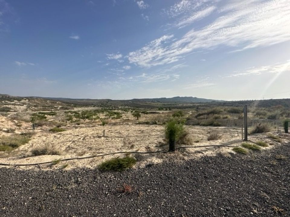 Helårsgrund i Torremendo, Alicante - foto 1