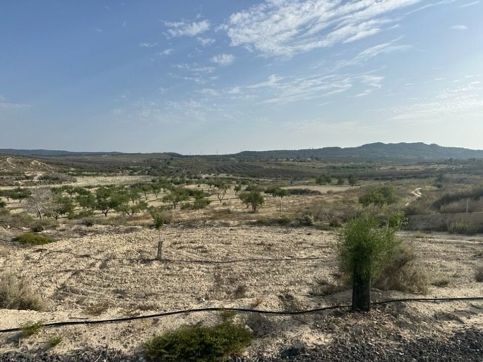 Helårsgrund i Torremendo, Alicante - foto 2
