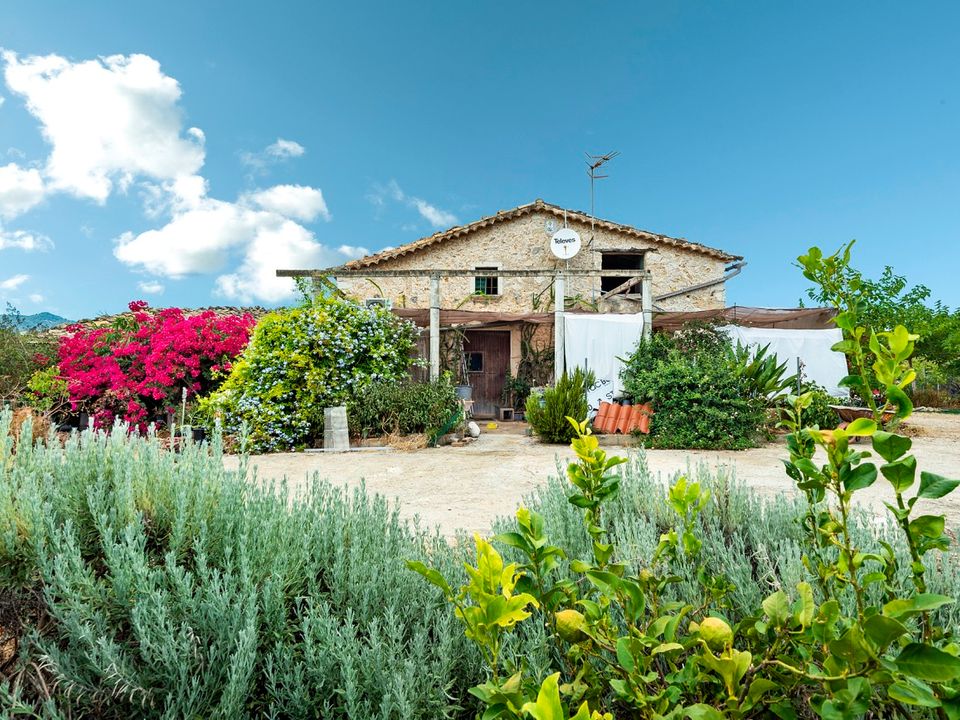 Cortijo i Selva, Mallorca - foto 2