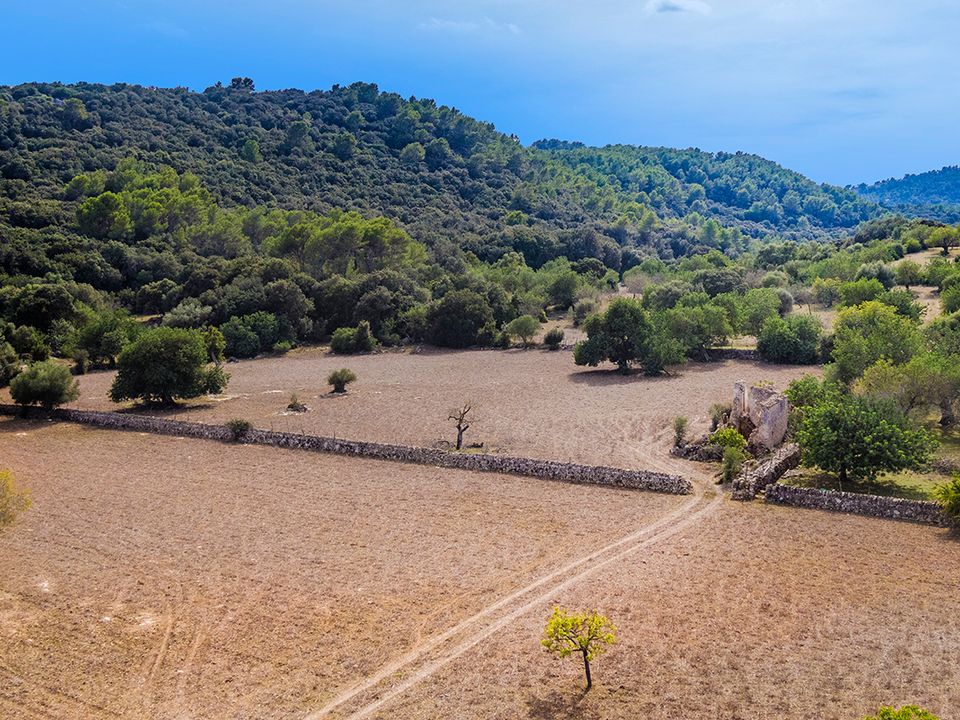 Helårsgrund i Pollenca, Mallorca - foto 1