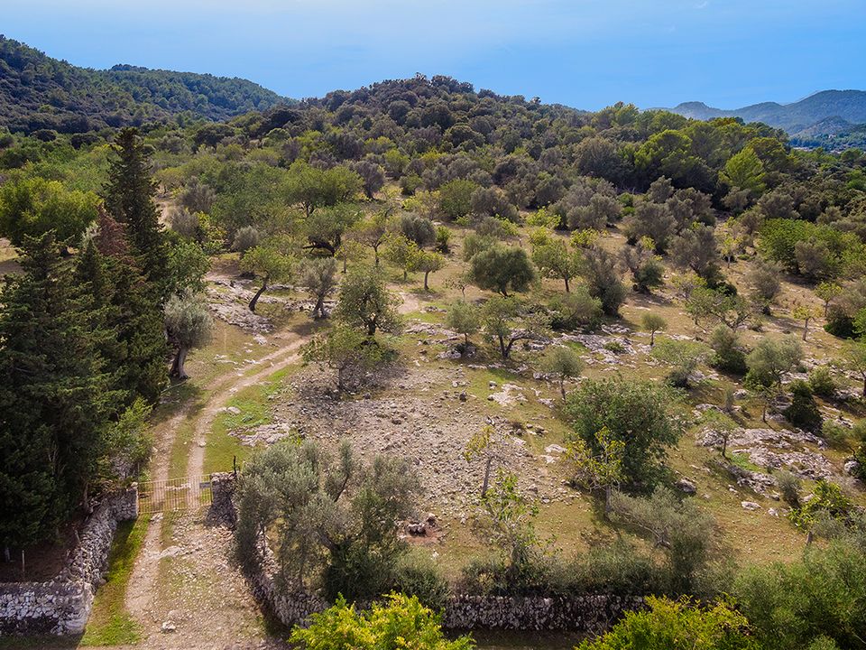 Helårsgrund i Pollenca, Mallorca - foto 2