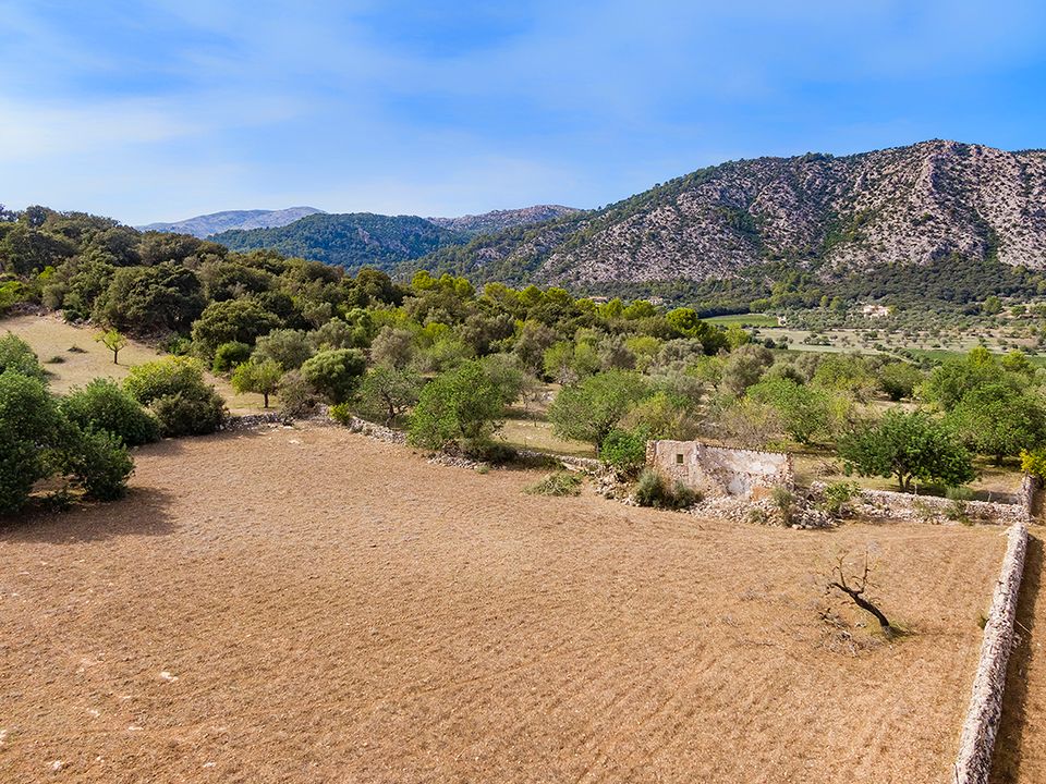 Helårsgrund i Pollenca, Mallorca - foto 3