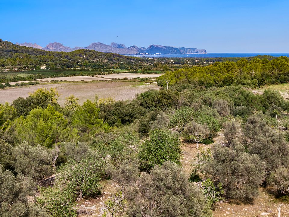 Helårsgrund i Pollenca, Mallorca - foto 5