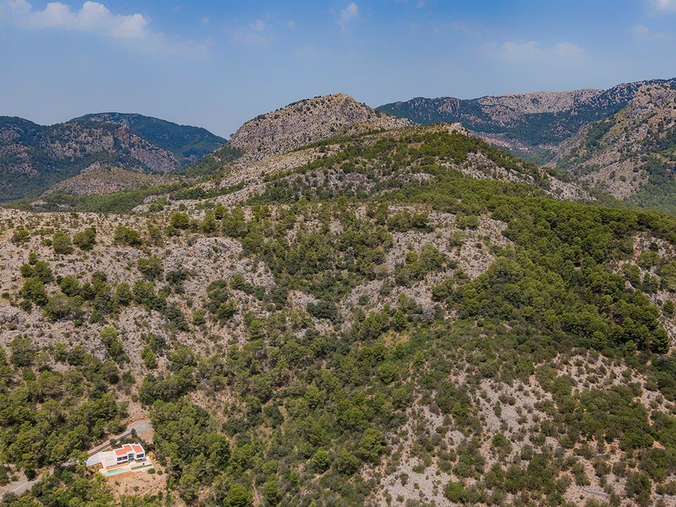 Helårsgrund i Bunyola, Mallorca - foto 3