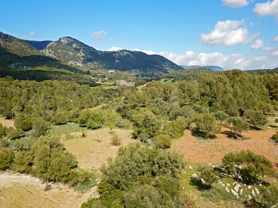 Helårsgrund i Campanet, Mallorca - foto 2
