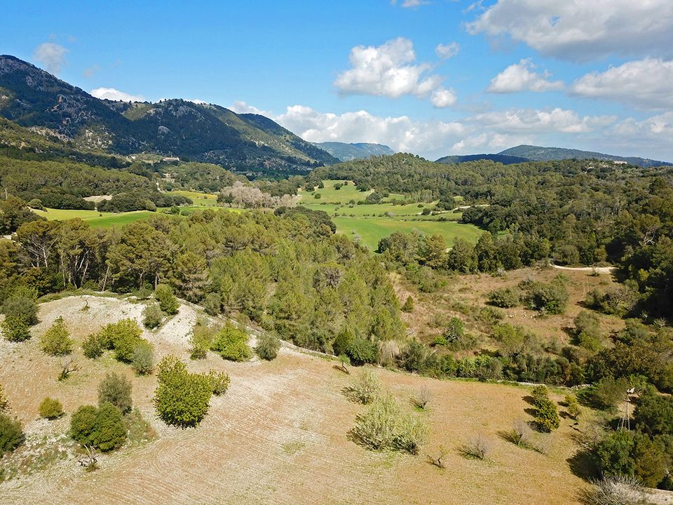 Helårsgrund i Campanet, Mallorca - foto 3