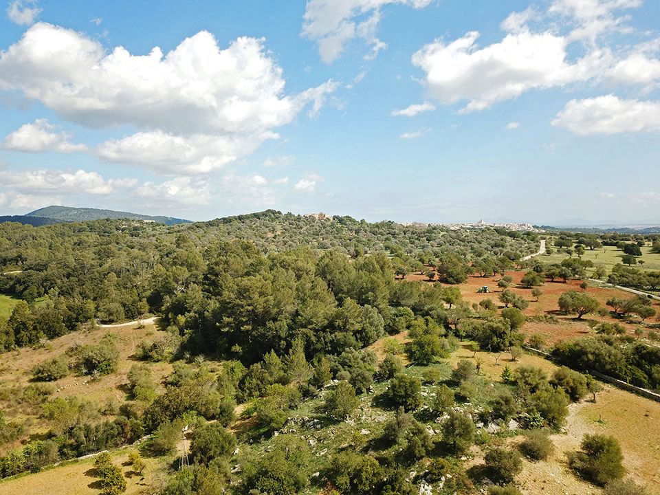 Helårsgrund i Campanet, Mallorca - foto 4