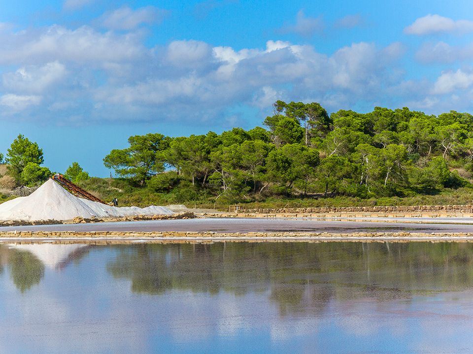 Cortijo i Ses Salines, Mallorca - foto 5