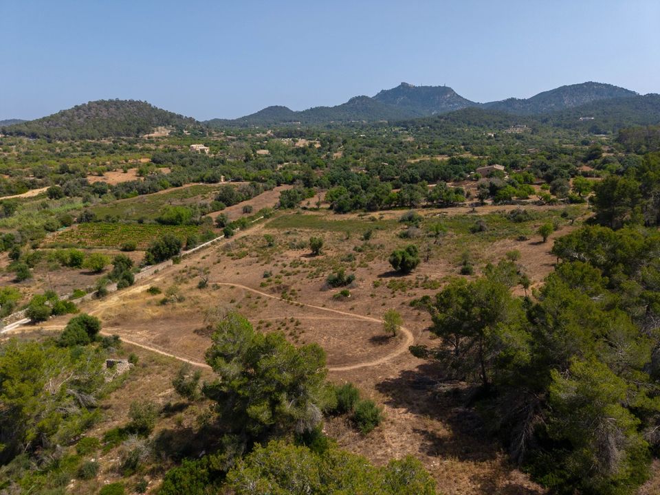 Helårsgrund i Felanitx, Mallorca - foto 2