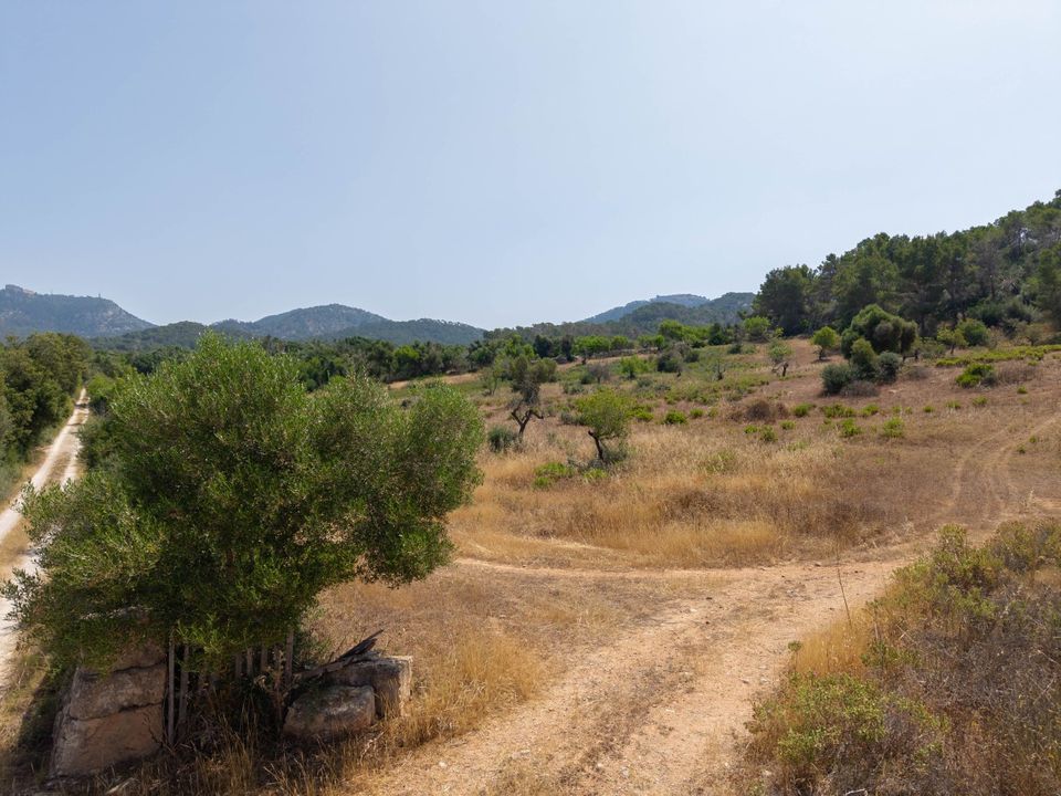 Helårsgrund i Felanitx, Mallorca - foto 3