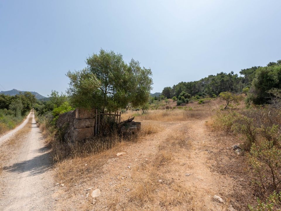 Helårsgrund i Felanitx, Mallorca - foto 4