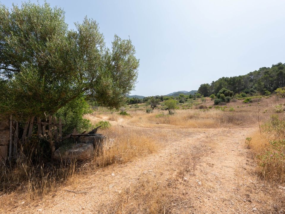 Helårsgrund i Felanitx, Mallorca - foto 5