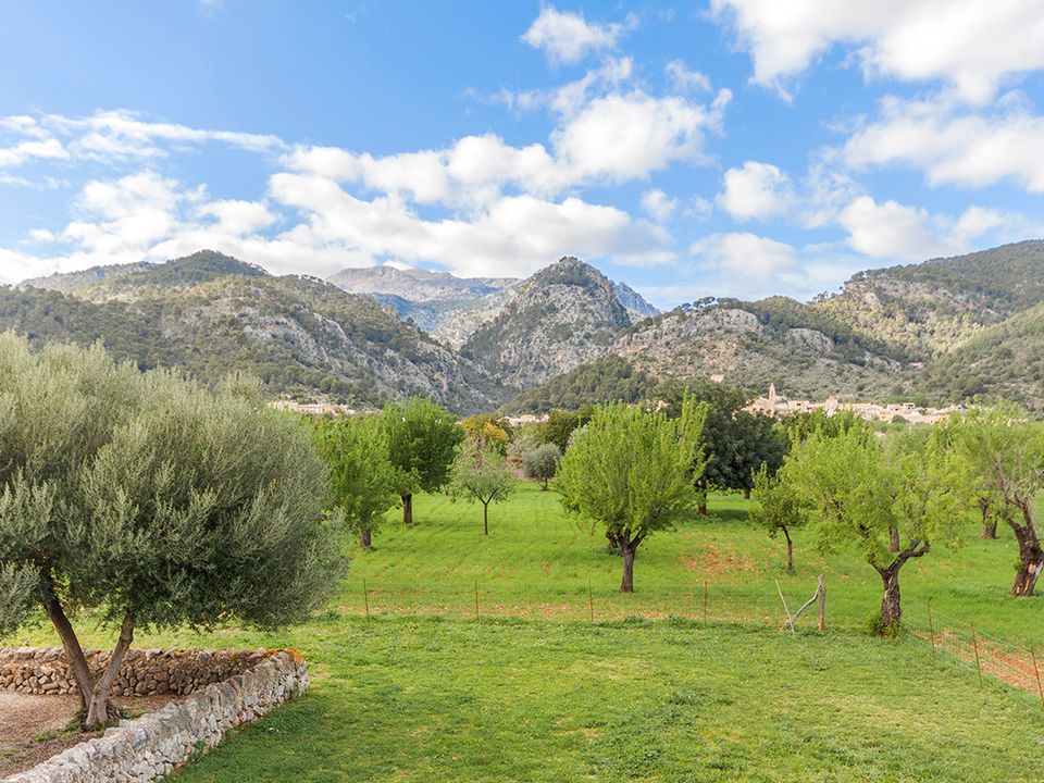 Helårsgrund i Mancor De La Vall, Mallorca - foto 2