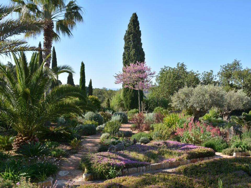 Cortijo i Felanitx, Mallorca - foto 3