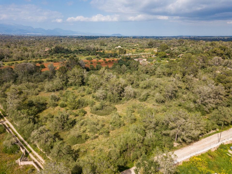 Helårsgrund i Algaida, Mallorca - foto 1