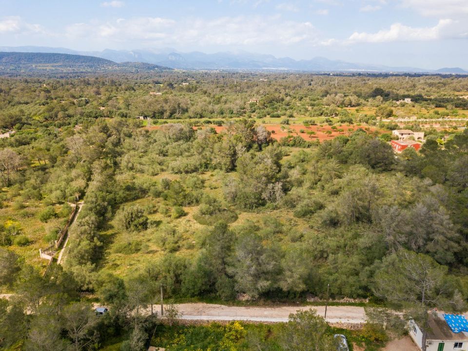 Helårsgrund i Algaida, Mallorca - foto 3