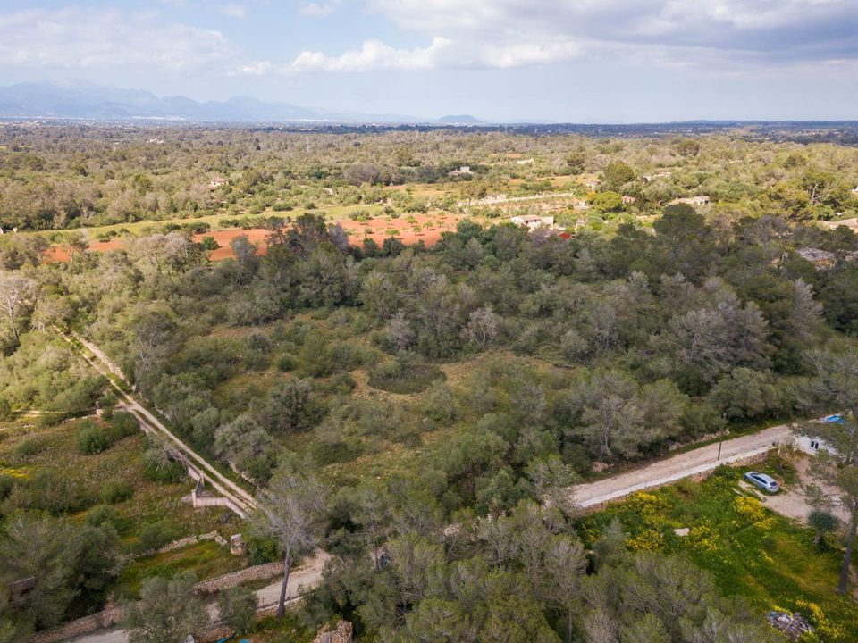Helårsgrund i Algaida, Mallorca - foto 4