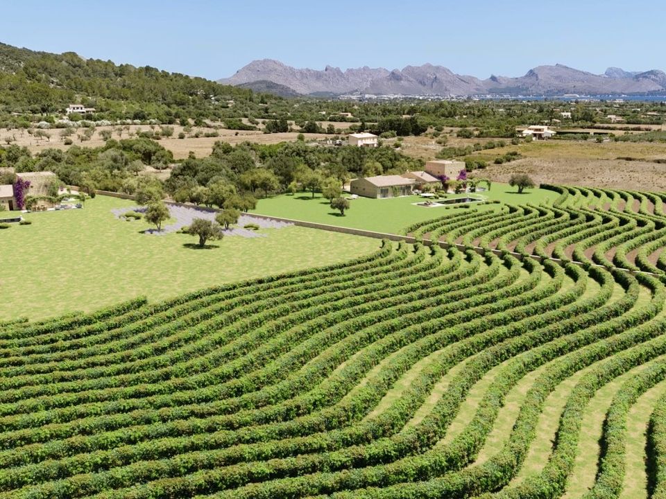 Helårsgrund i Pollenca, Mallorca - foto 4
