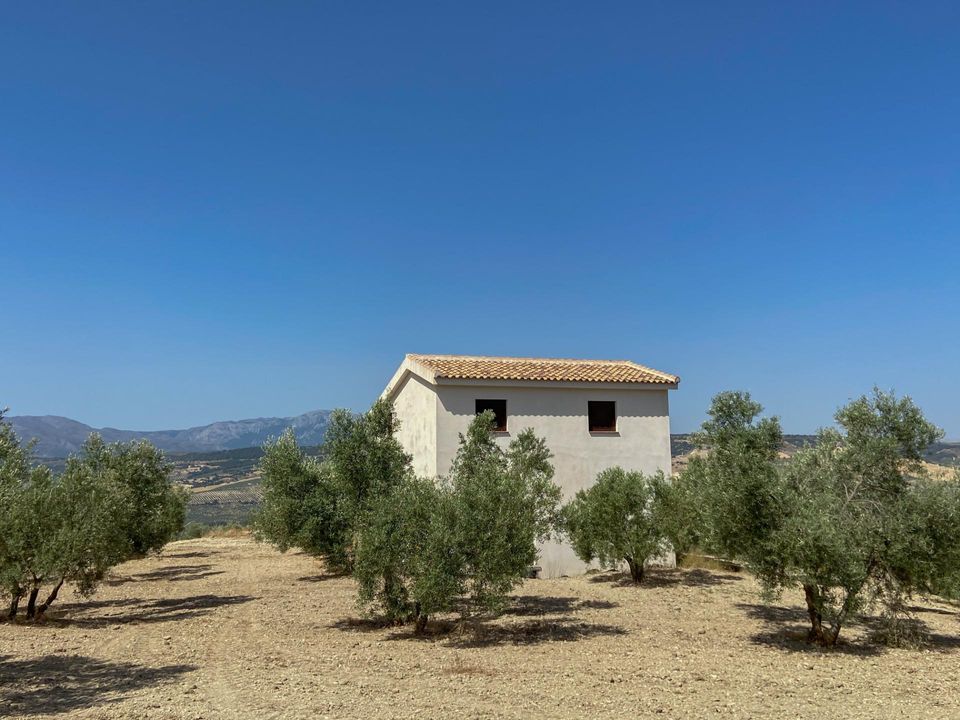 Villa i Arenas Del Rey, Granada - foto 3