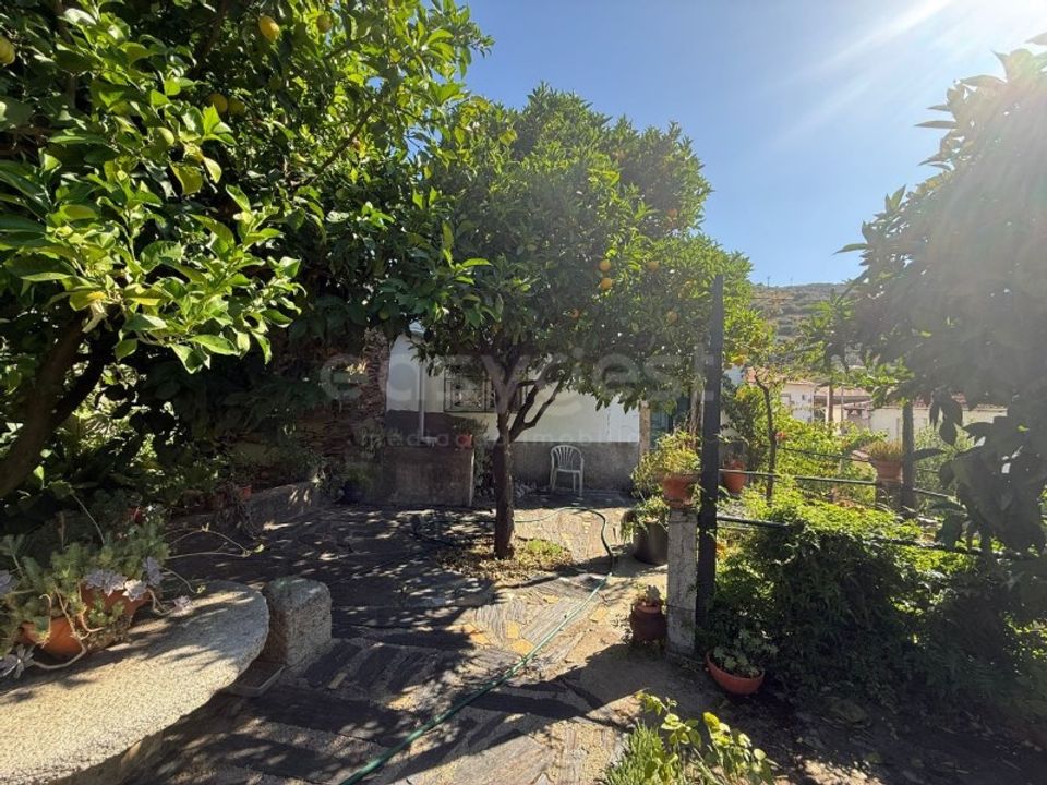 Farm i Vila Nova de Foz Coa, Guarda - foto 1