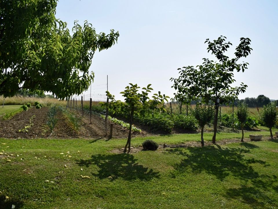 Farm hus i Lougratte, Lot-et-Garonne - foto 5
