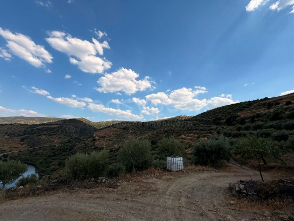 Helårsgrund i Felgar e Souto da Velha, Braganca - foto 4