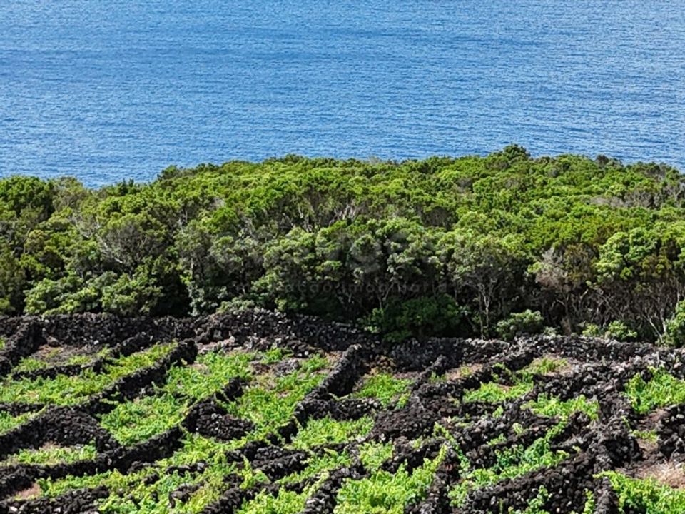 Helårsgrund i Sao Mateus, Graciosa - foto 3