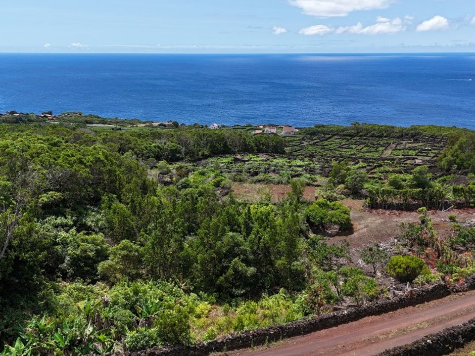 Helårsgrund i Sao Mateus, Graciosa - foto 2