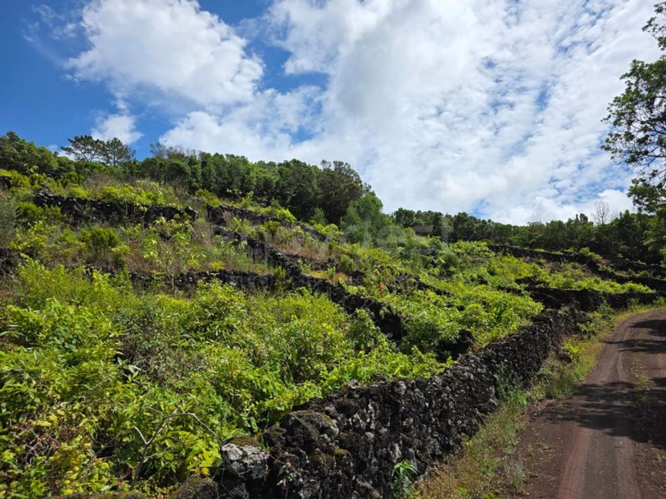 Helårsgrund i Sao Mateus, Graciosa - foto 4