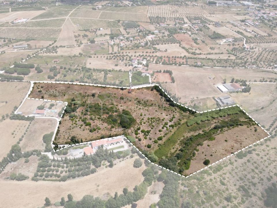Tomt i Cartaxo, Santarem - bilde 1