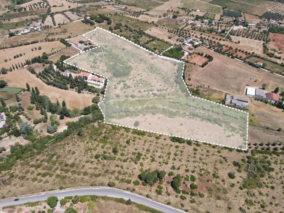 Tomt i Cartaxo, Santarem - bilde 3