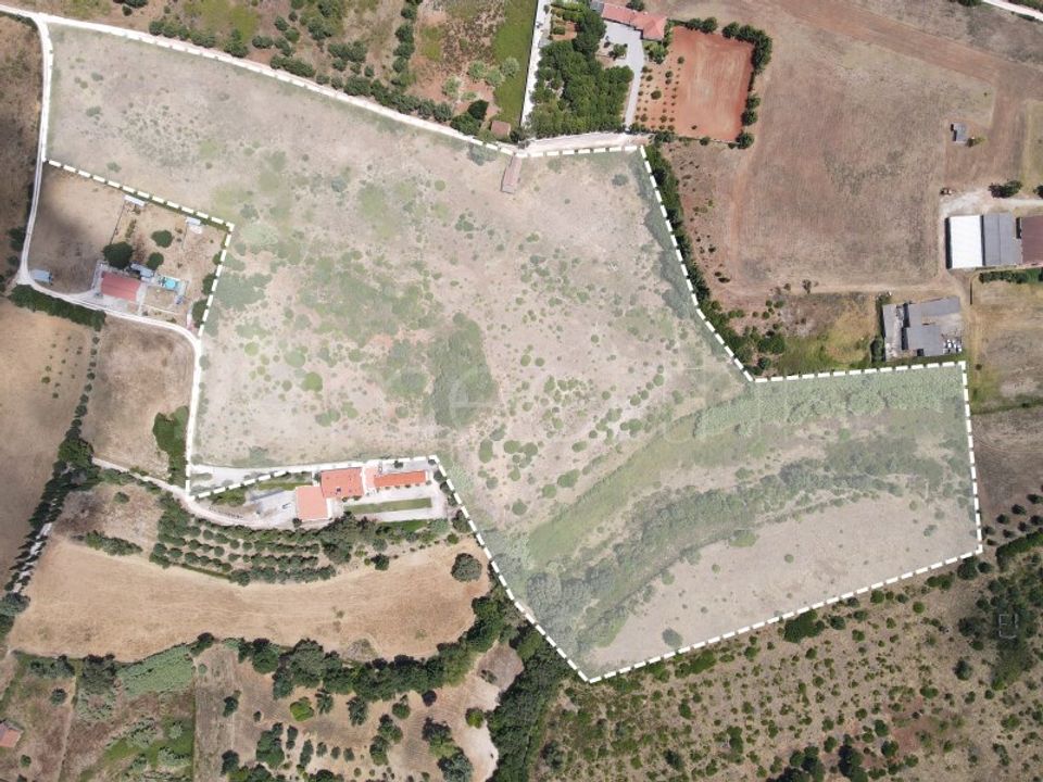 Tomt i Cartaxo, Santarem - bilde 4