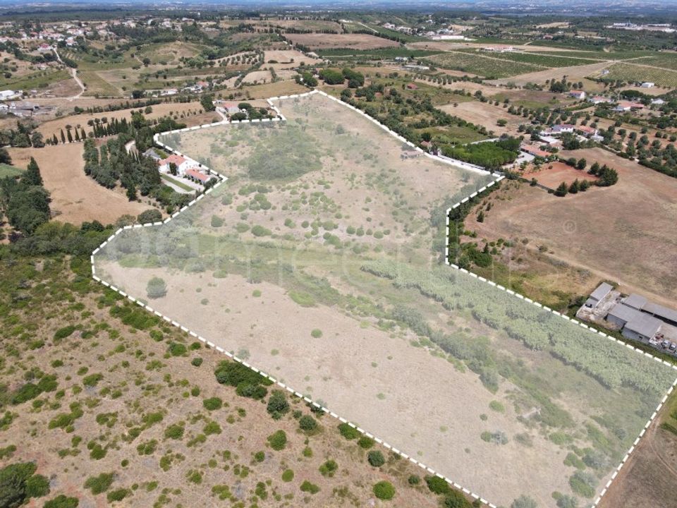 Tomt i Cartaxo, Santarem - bilde 5