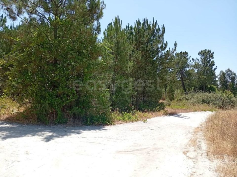 Helårsgrund i Montijo, Setubal - foto 2