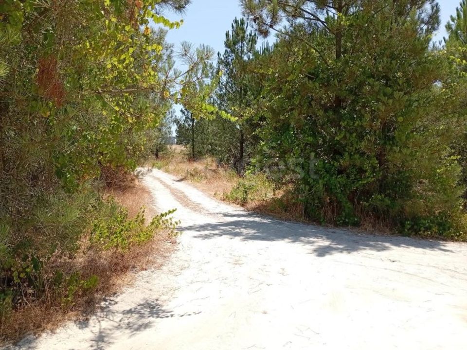 Helårsgrund i Montijo, Setubal - foto 3