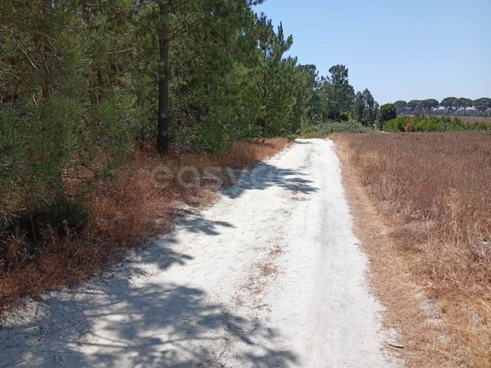 Helårsgrund i Montijo, Setubal - foto 4