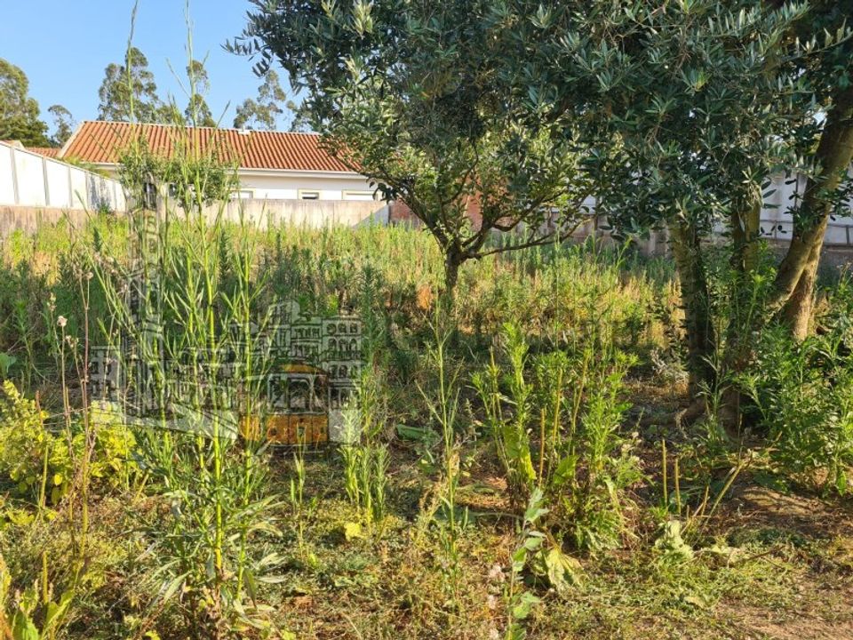 Helårsgrund i Nogueira da Regedoura, Aveiro - foto 3