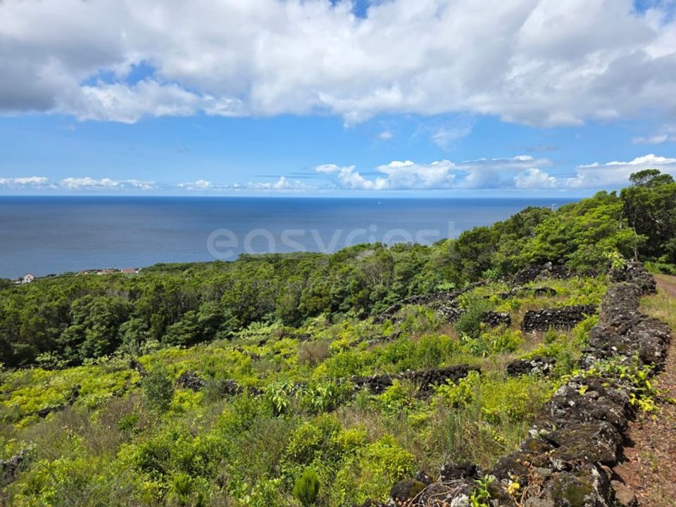 Helårsgrund i Sao Mateus, Graciosa - foto 2
