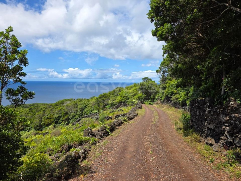 Helårsgrund i Sao Mateus, Graciosa - foto 4