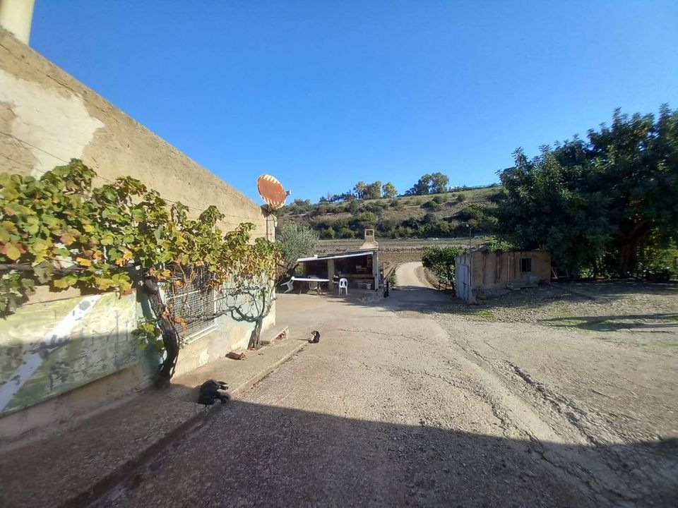 Tomt i Ozieri, Sassari - bilde 4