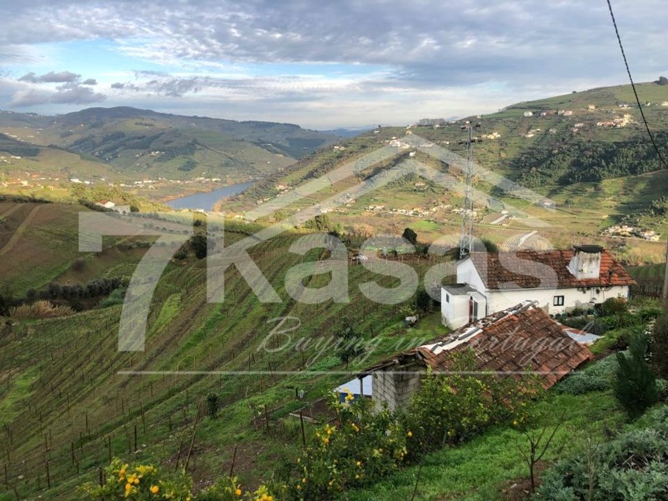 Farm i Peso da Regua, Vila Real - foto 1