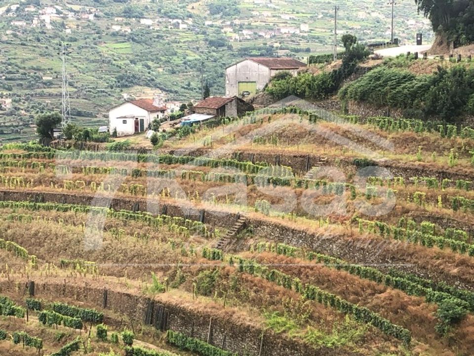 Farm i Peso da Regua, Vila Real - foto 3