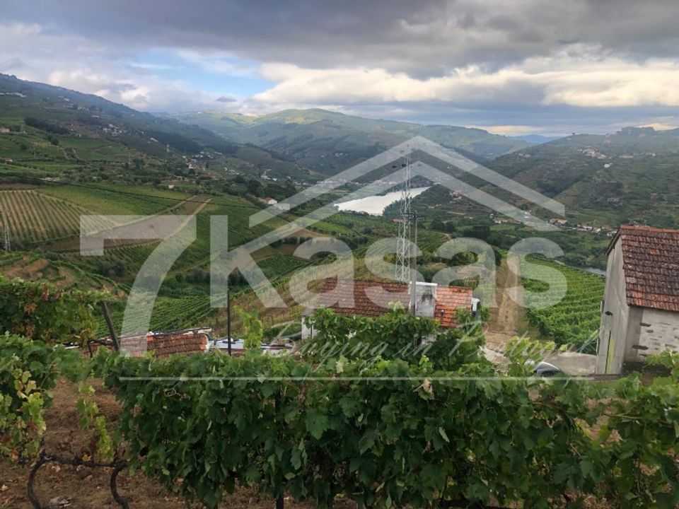 Farm i Peso da Regua, Vila Real - foto 4