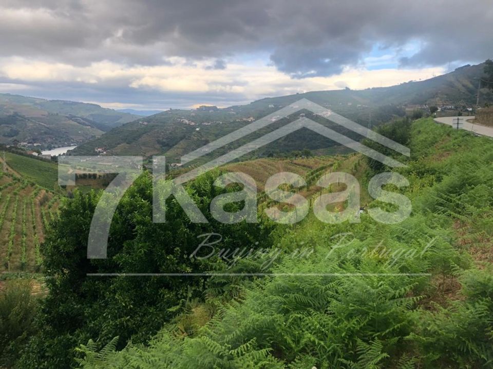 Farm i Peso da Regua, Vila Real - foto 5
