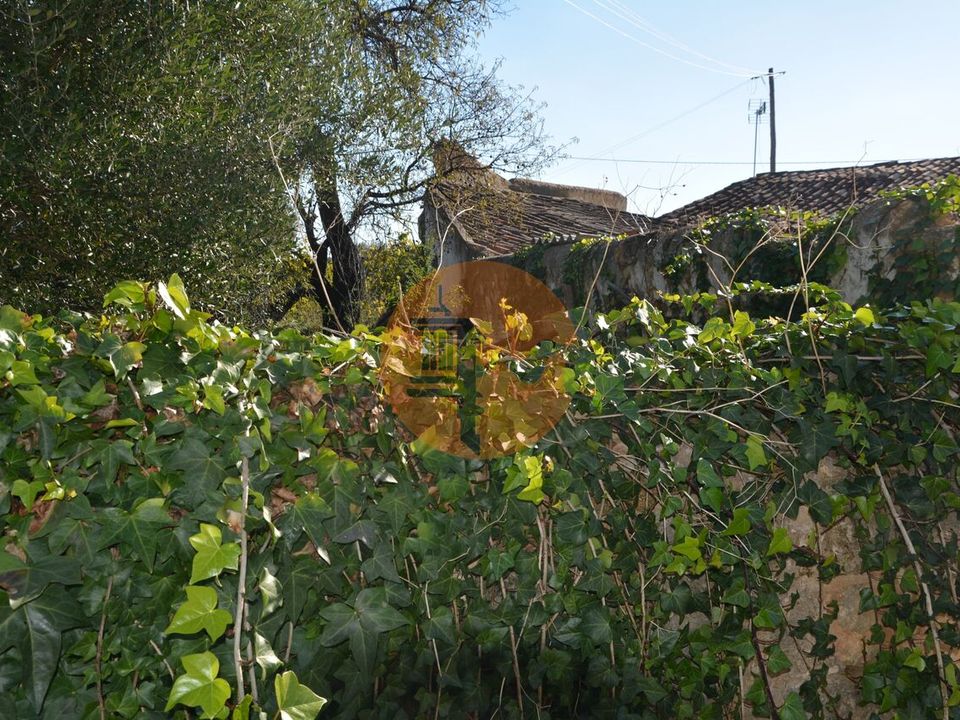Helårsgrund i Olhao, Faro - foto 5