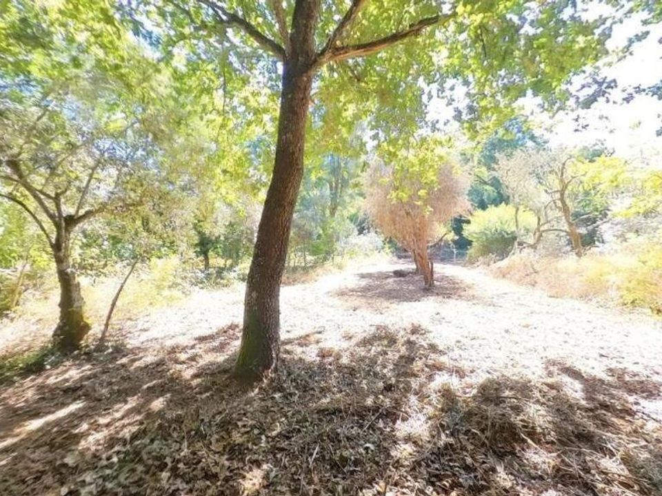 Byhus i Castanheira de Pera, Leiria - foto 2